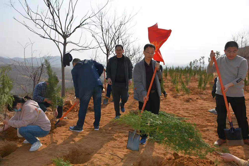 文博中心項(xiàng)目部臨時(shí)黨支部開(kāi)展義務(wù)植樹(shù)主題黨日活動(dòng)